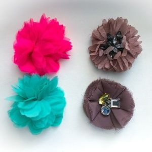 Jcrew Brooch set